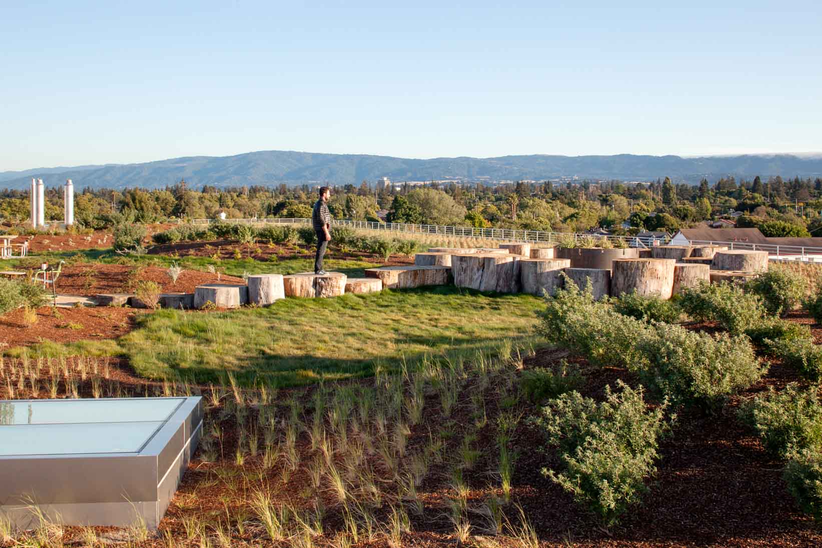 Facebook Headquarters 5