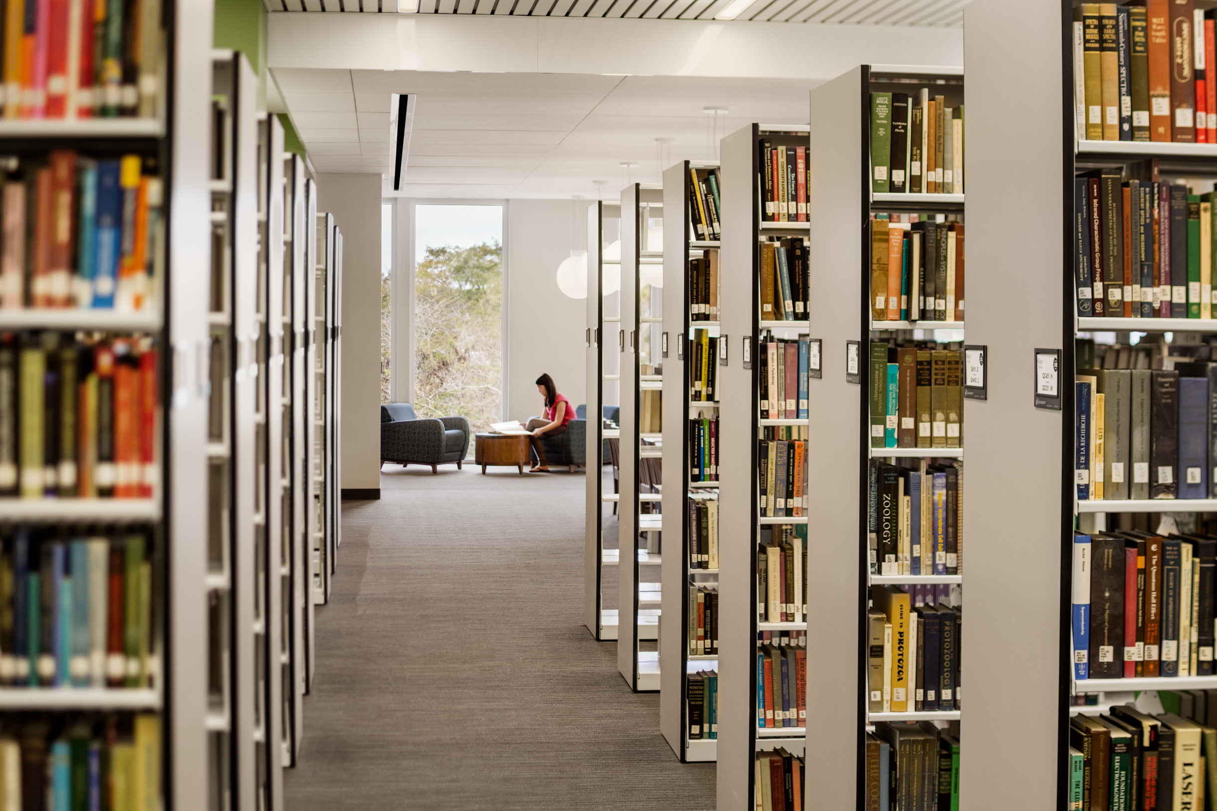 Salisbury University Library 26