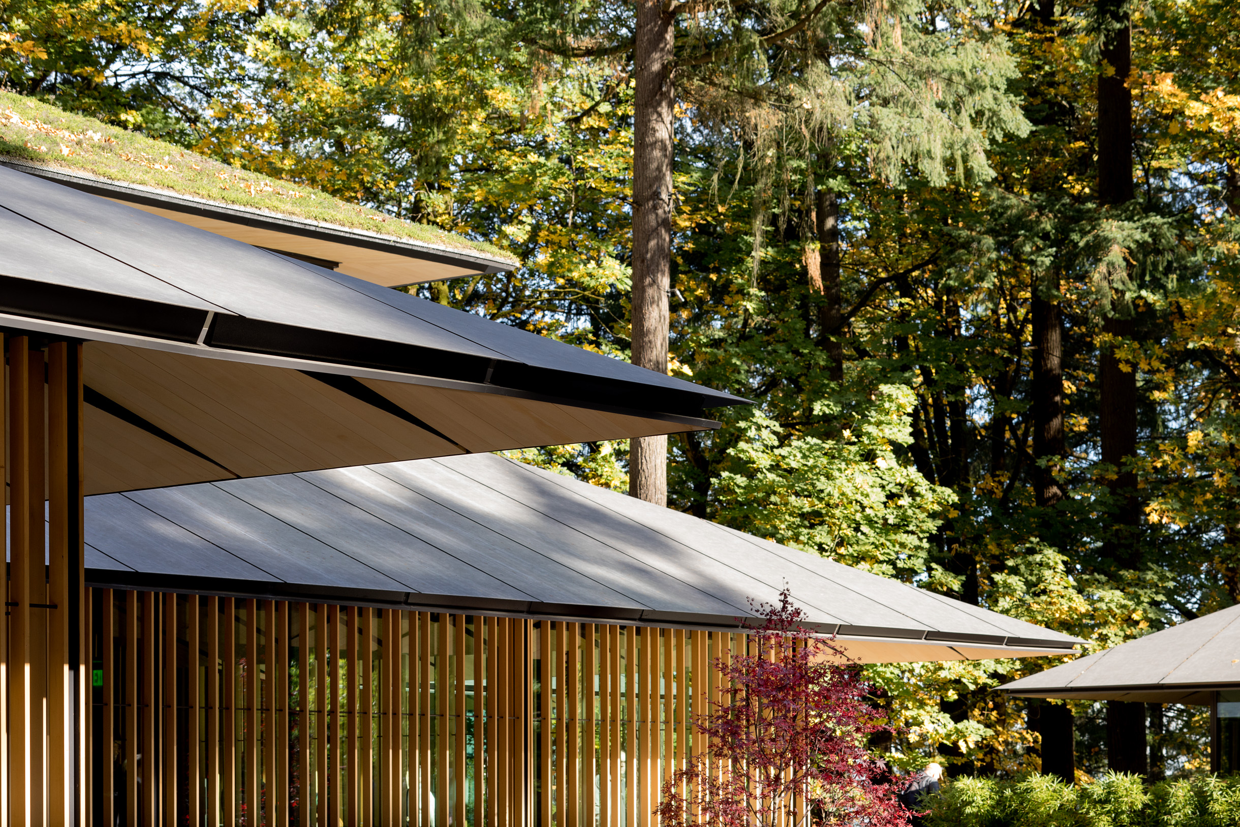 Portland Japanese Garden Visitor Center 12